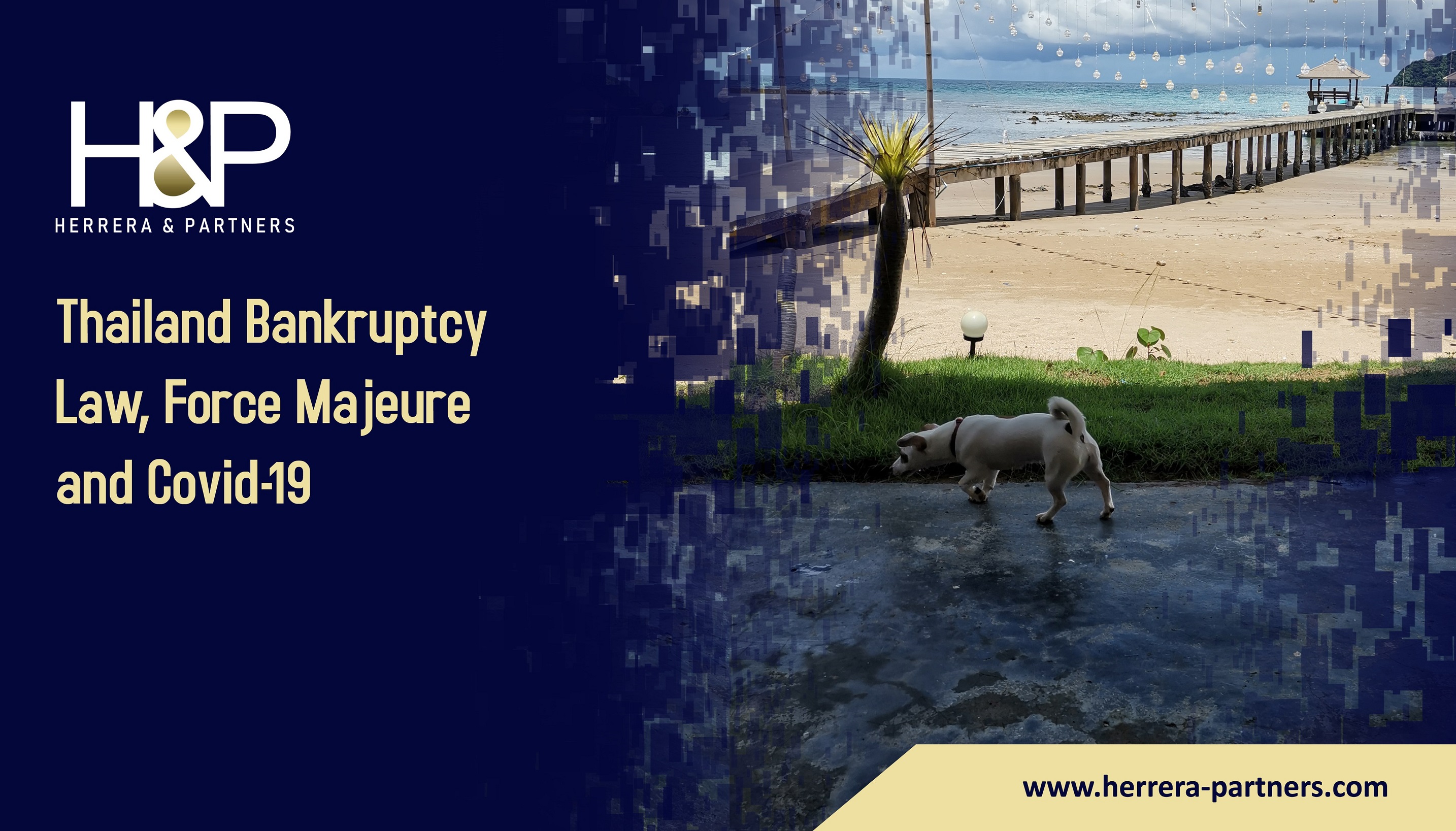 Thailand Bankruptcy Law, Force Majeure and Covid 19 H&P Insolvency law in Thailand