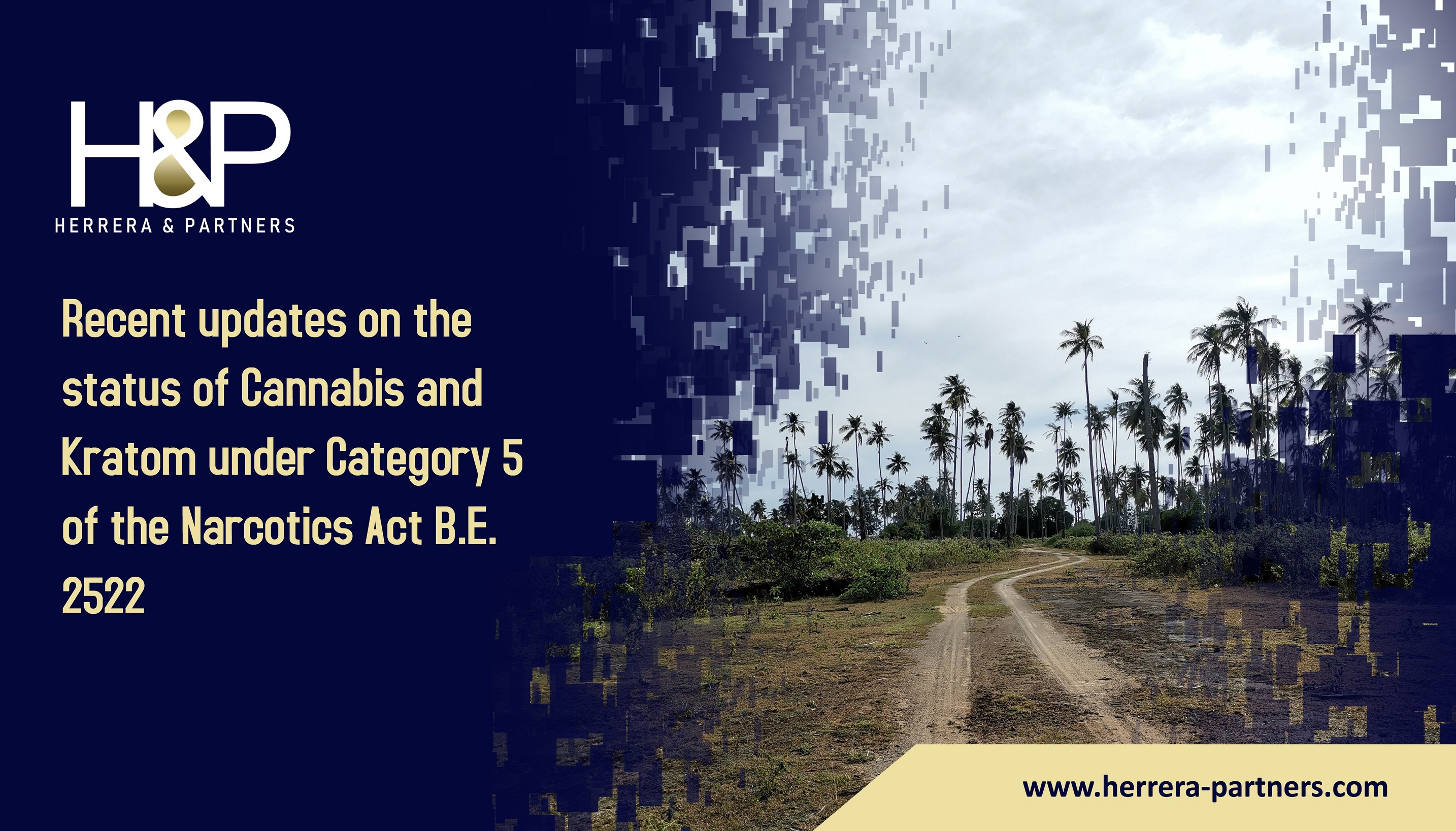 Recent updates on the status of Cannabis and Kratom under Category 5 of the Narcotics Act B.E. 2522 H&P Attorneys in Thailand