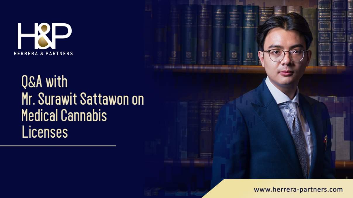Medical Cannabis Licenses in Thailand HP Law firm in Bangkok specialized in foreign investment Mr. Surawit Sattawon